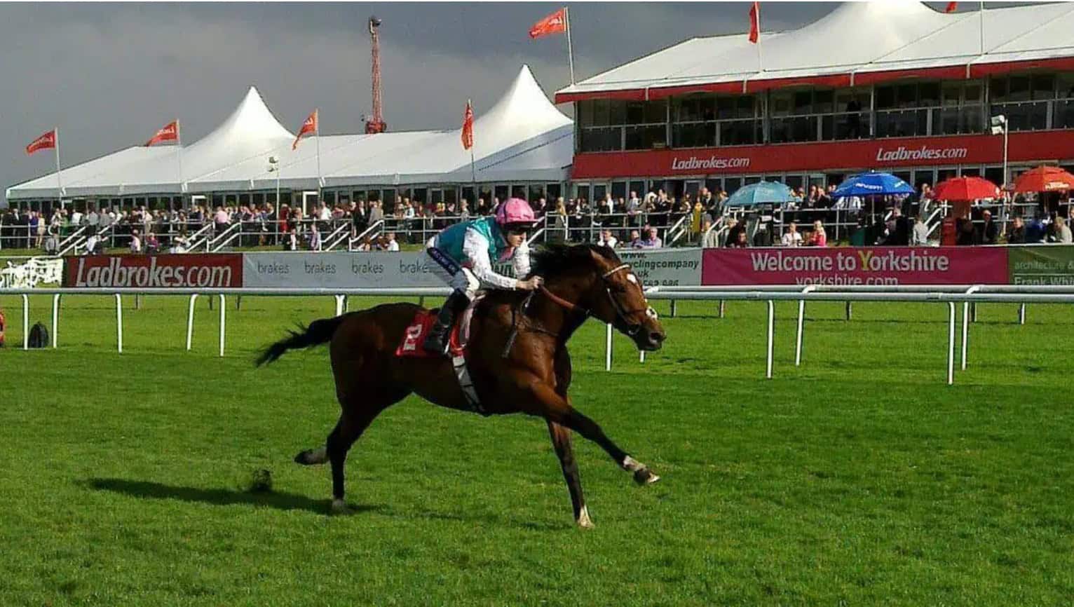 Frankel in Suffolk