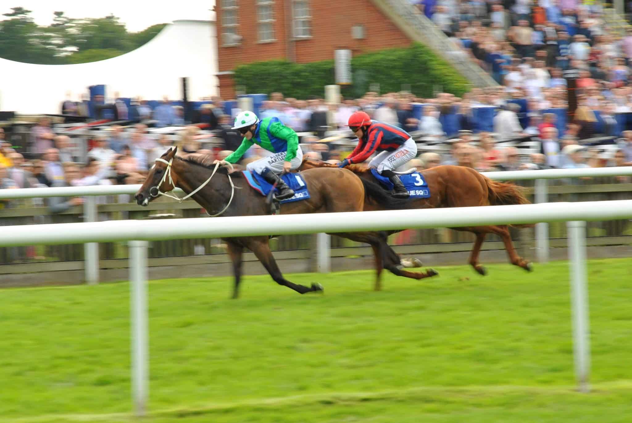 Horse racing event at Suffolk racecourse with jockeys and spectators.