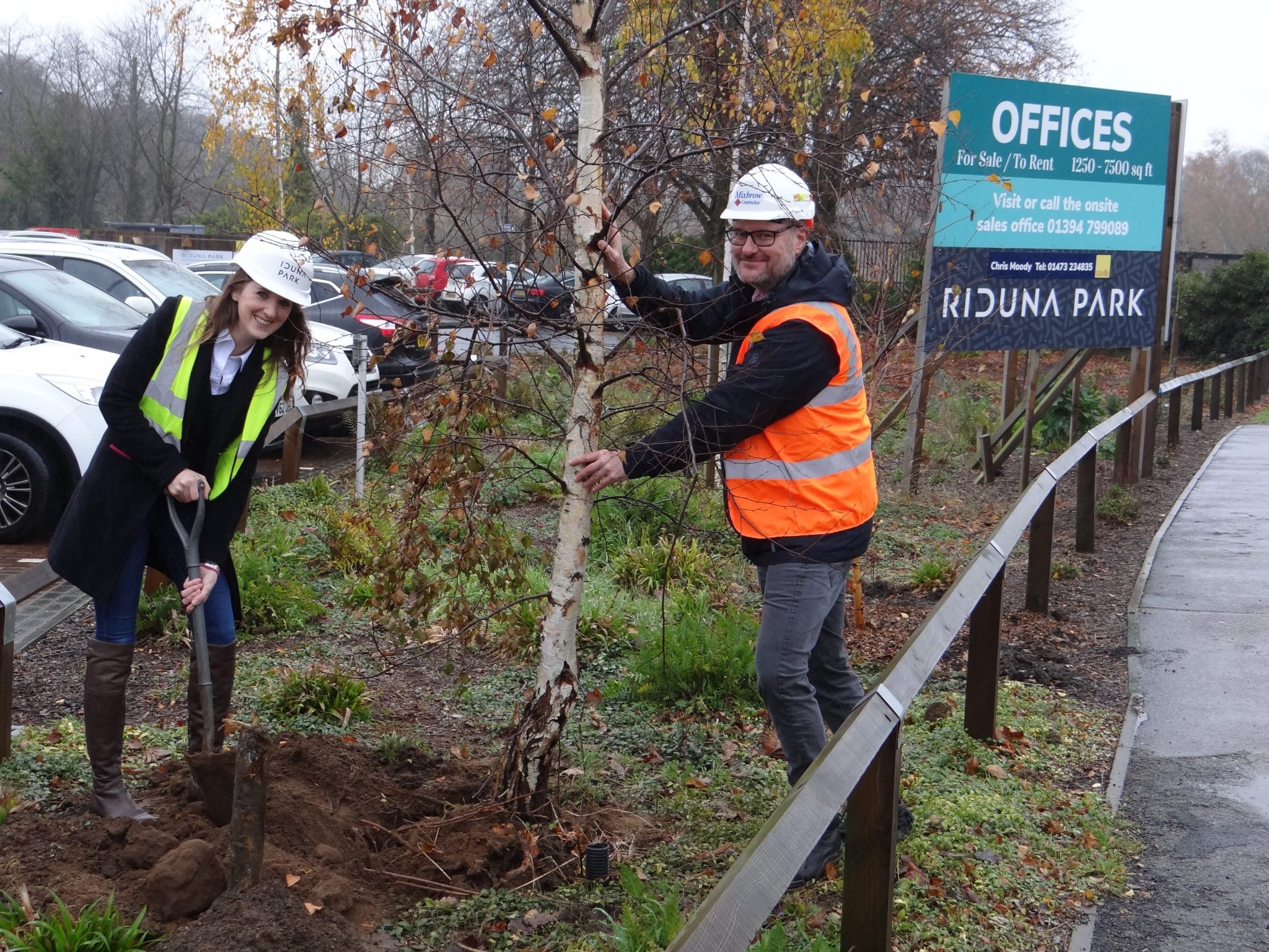 Two workers planting a tree at Suffolk Business park in Suffolk, UK.