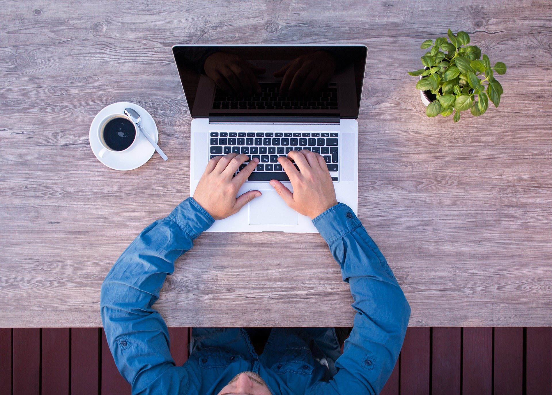Laptop user working on a computer at home with coffee and plant.