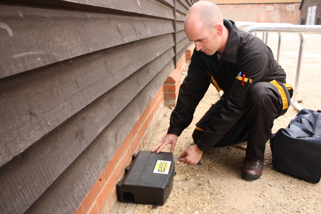 Ipswich pest control expert offers extensive service