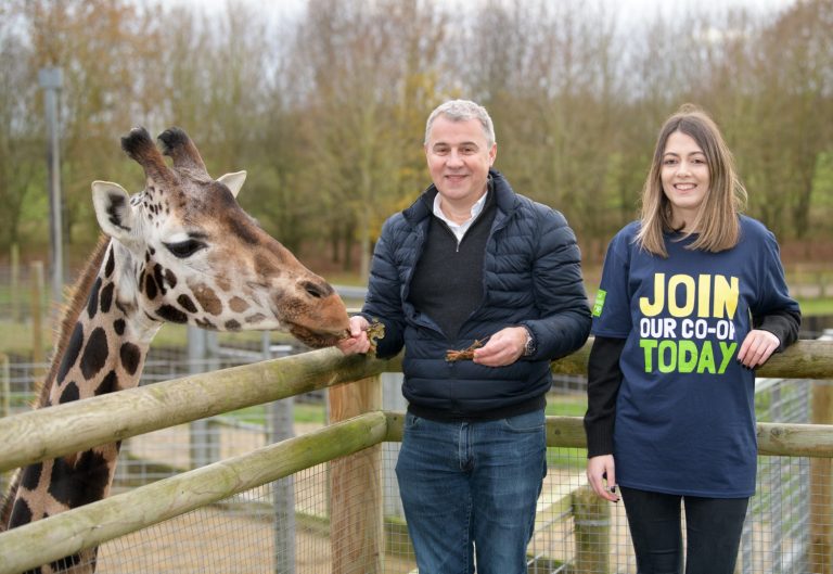 Visitors feeding a giraffe at Suffolk Zoo, showcasing wildlife experiences in Suffolk.