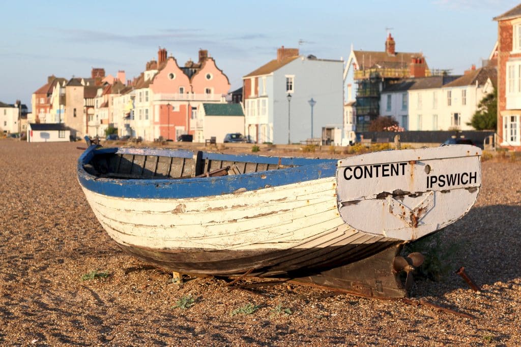 Business content writing, social media management and digital advertising